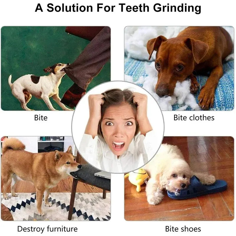Interactive Treat Dispensing Ball – Chew & Dental Toy for Dogs
