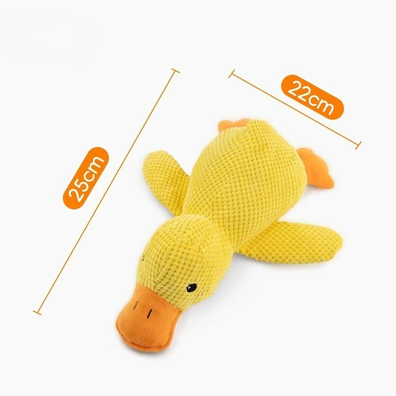 Plush Squeaky Chew Toy – Interactive Toy for Dogs