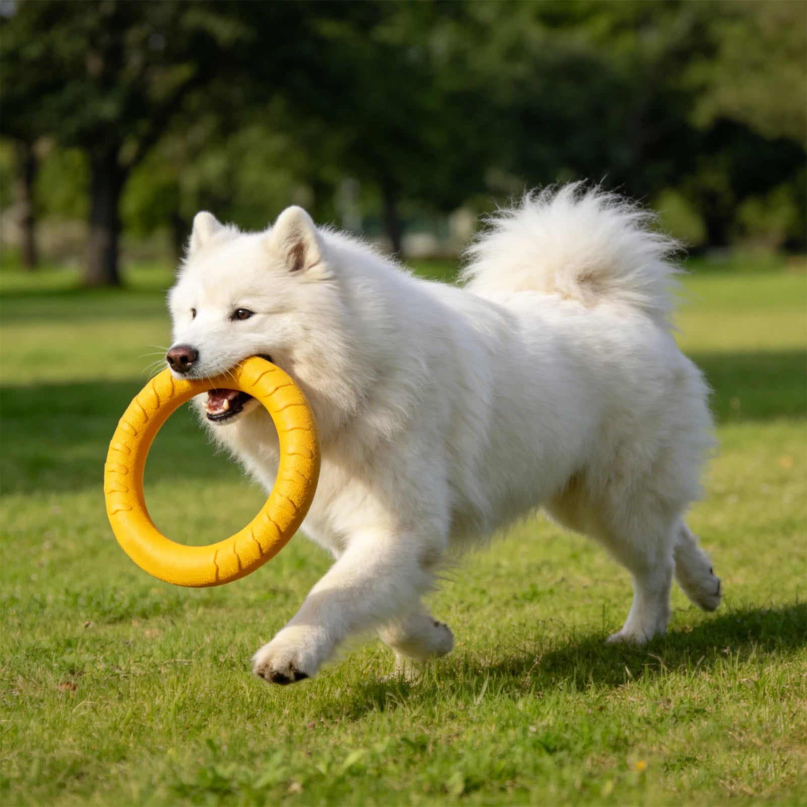 Heavy-Duty Dog Tug Ring