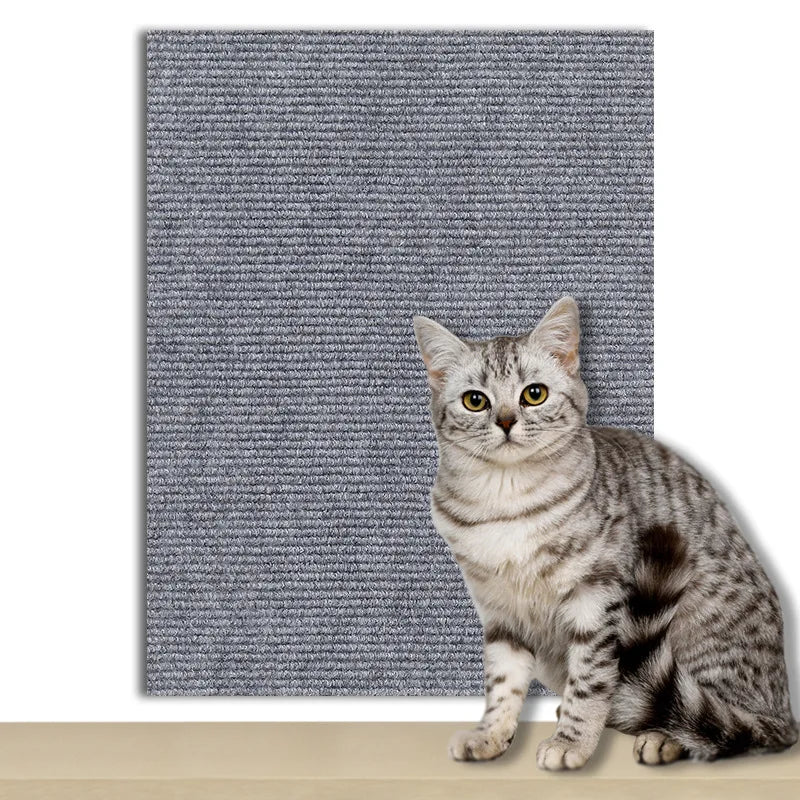 ScratchGuard Cat Scratch Mat