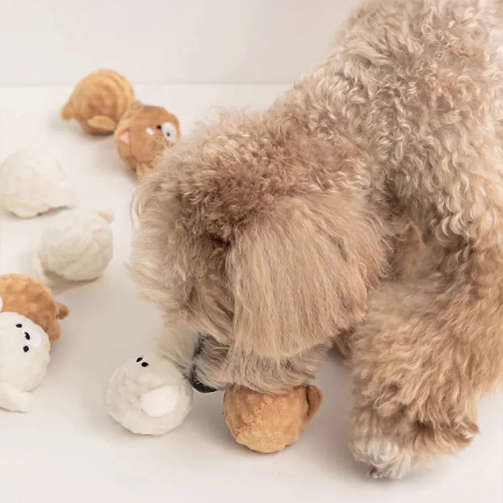 Spiky Squeaky Ball – Interactive Chew Toy for Small Dogs