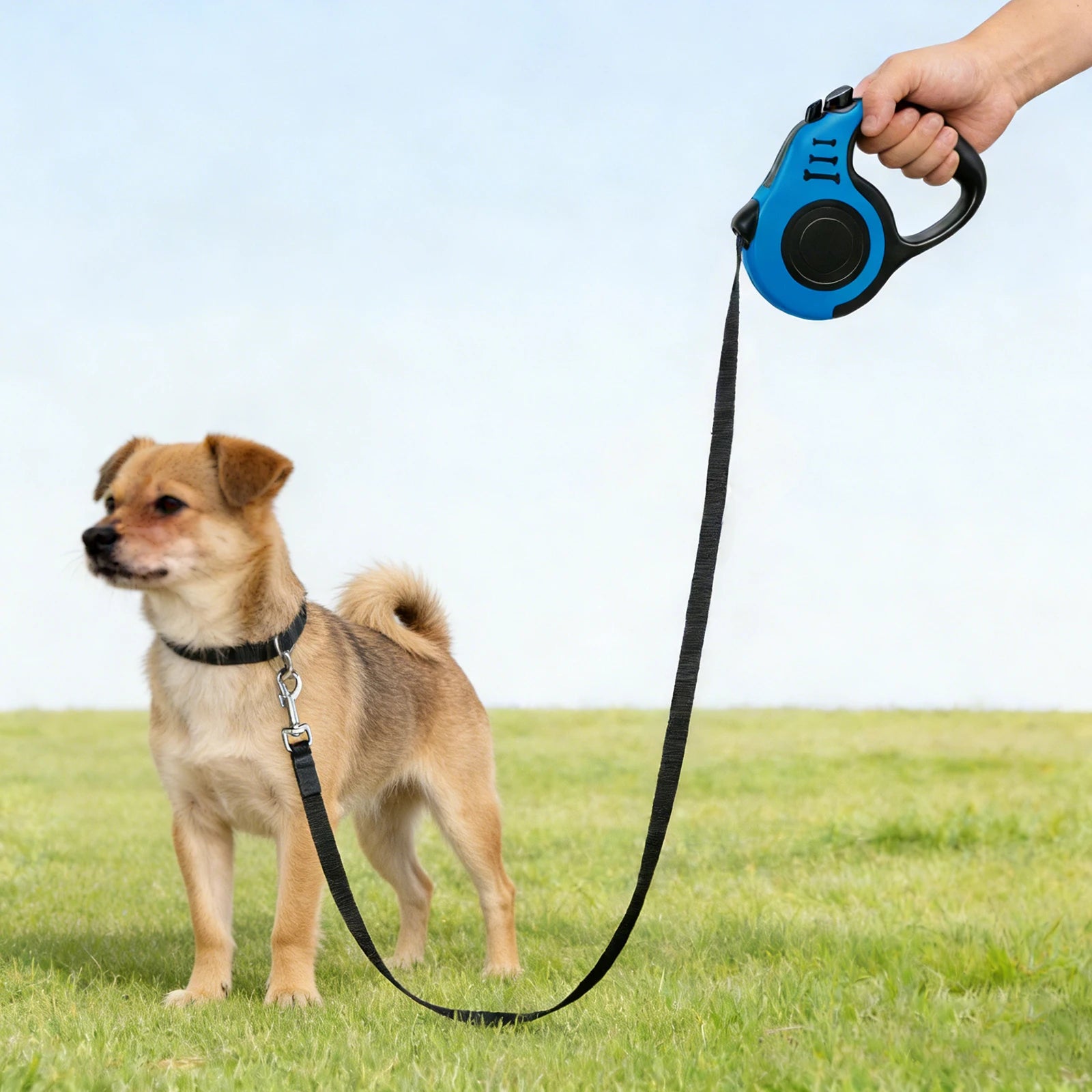 Retractable Dog Leash