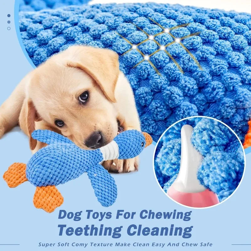 Plush Squeaky Chew Toy – Interactive Toy for Dogs