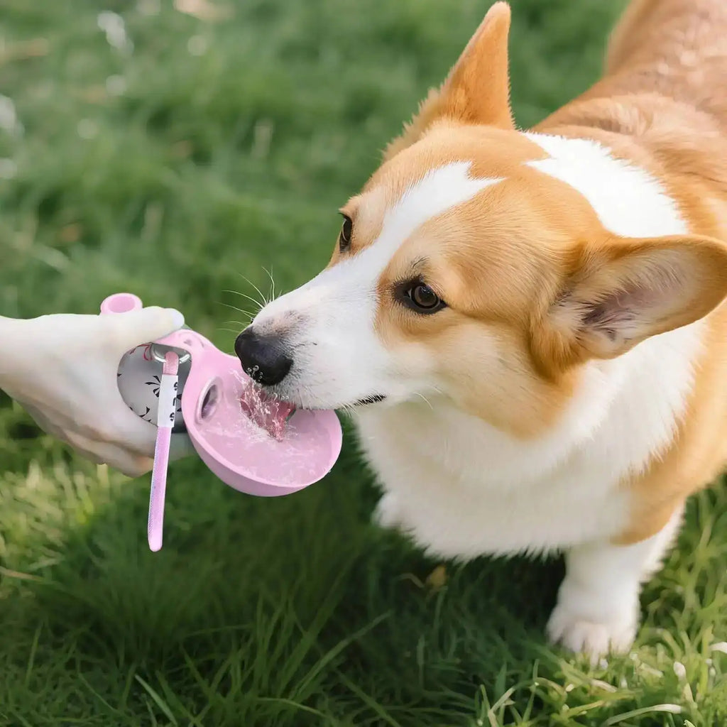 Portable Stainless Steel Dog Water Bottle