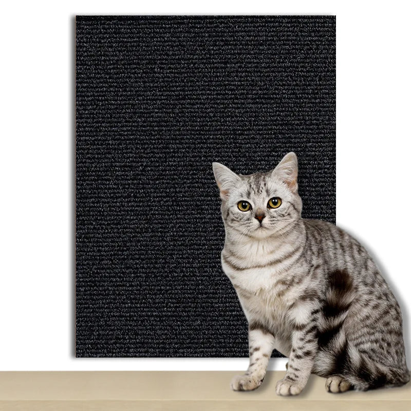 ScratchGuard Cat Scratch Mat
